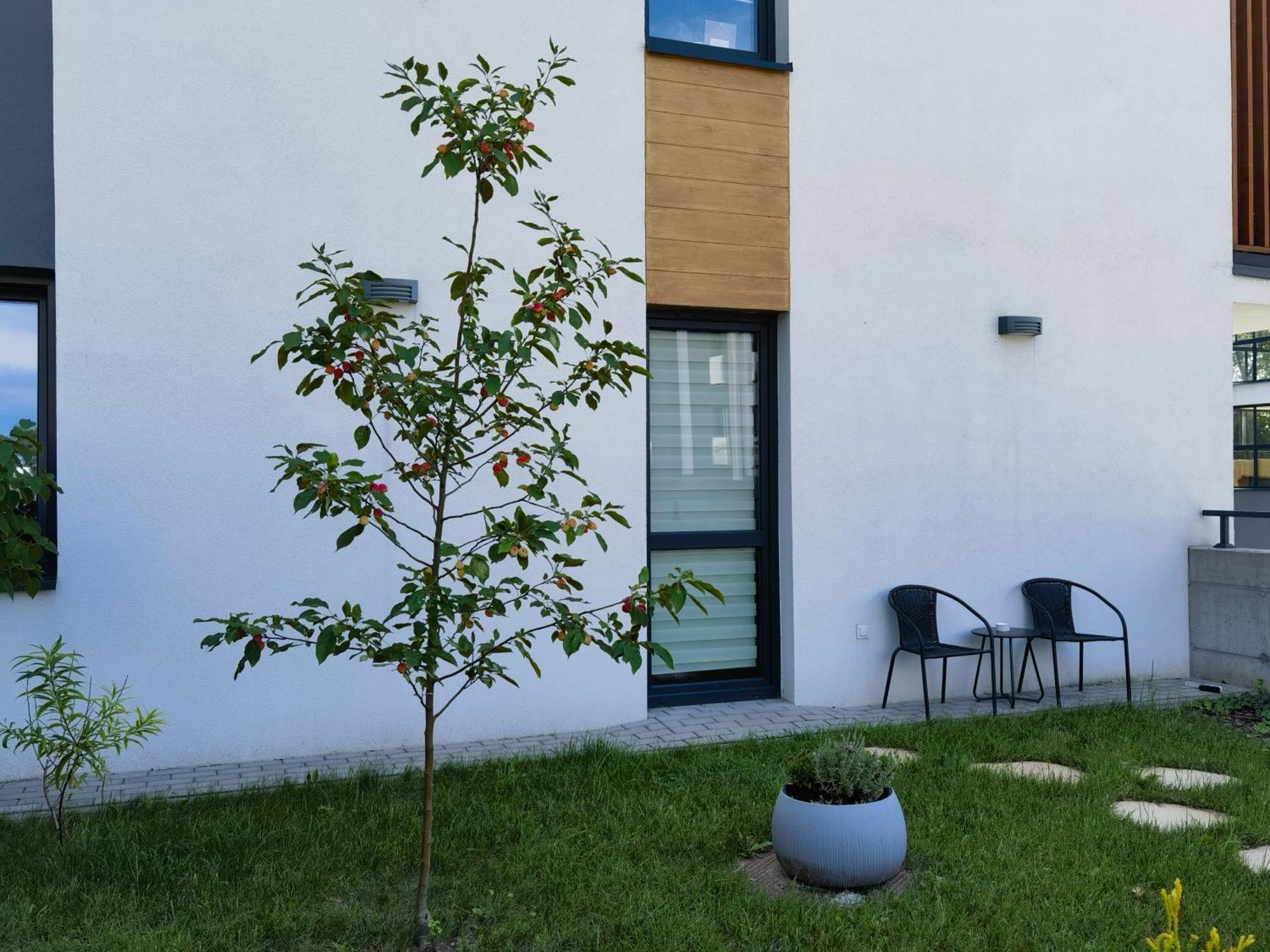 Apartament Sosnowa Puławy Εξωτερικό φωτογραφία